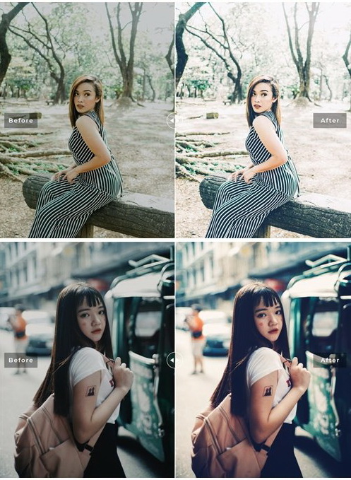 LR2792 Angeles Presets Mobile Desktop ACR ATN PSD b