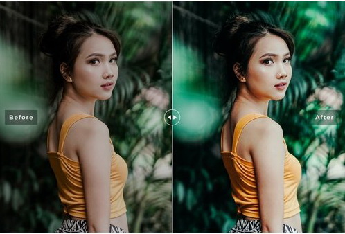 LR2792 Angeles Presets Mobile Desktop ACR ATN PSD