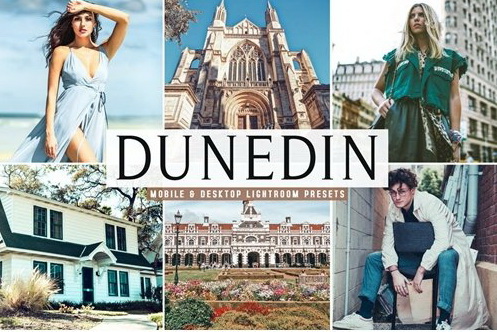 LR2794 Dunedin Presets Mobile Desktop ACR ATN PSD a