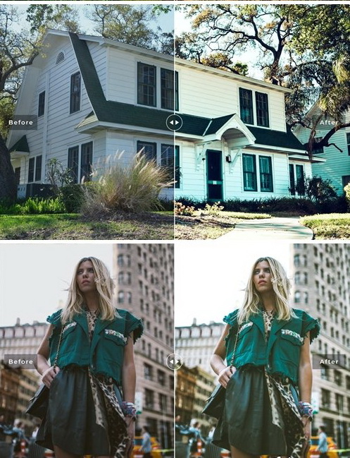 LR2794 Dunedin Presets Mobile Desktop ACR ATN PSD c