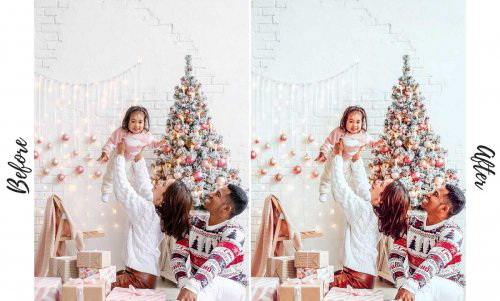 LR2800 CreativeMarket - 123 Presets FAMILY Preset Desktop ACR 4842205 B