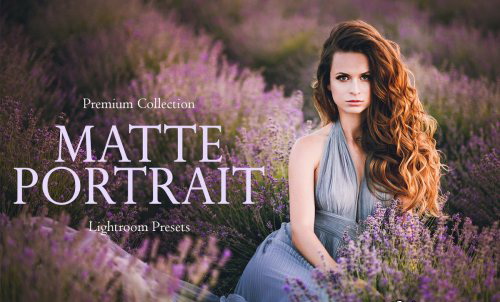 LR2805 CreativeMarket - Matte Portrait Mobile Desktop ACR 3395171 A