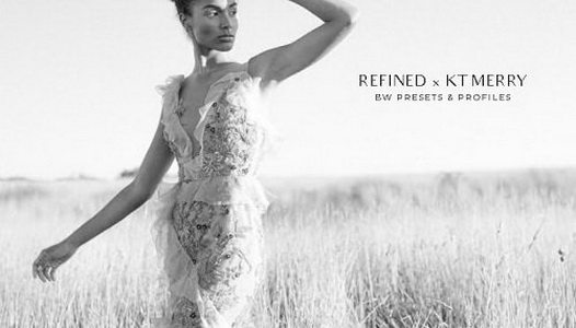 LR2811 REFINED x KT MERRY - BW PRESETS Mobile ACR PROFILES
