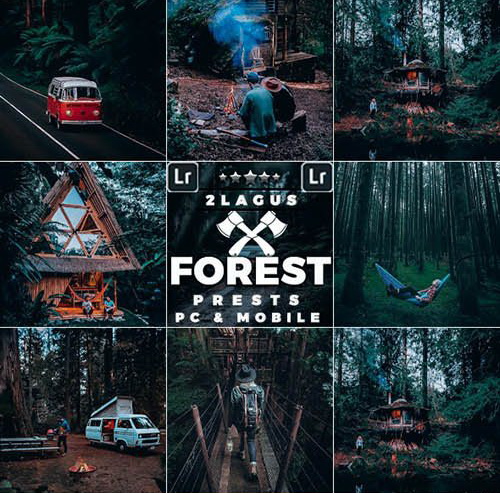 LR2820 GraphicRiver - Forest Moody Travel Mobile ACR 26365043 A