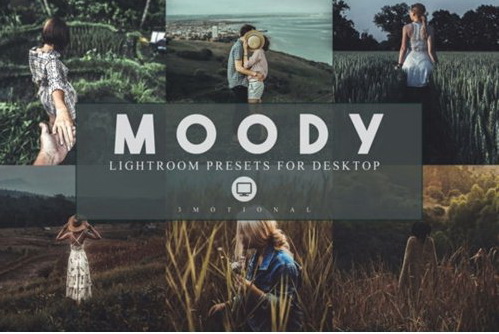 LR2821 14 Moody Presets Desktop ACR 3974499 A