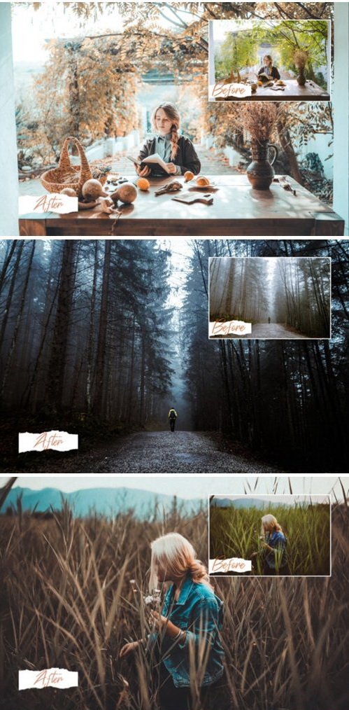 LR2821 14 Moody Presets Desktop ACR 3974499 B