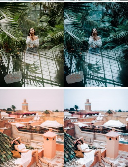 LR2821 14 Moody Presets Desktop ACR 3974499
