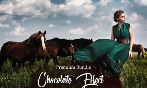 LR2829 CreativeMarket - Chocolate Effect Mobile Desktop ACR 3403629 A