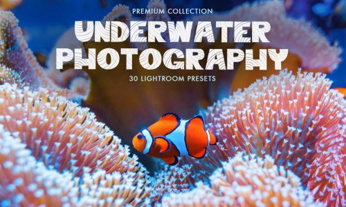 LR2830 CreativeMarket - Underwater Photography Desktop ACR 4725471 A