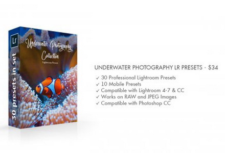 LR2830 CreativeMarket - Underwater Photography Desktop ACR 4725471 B