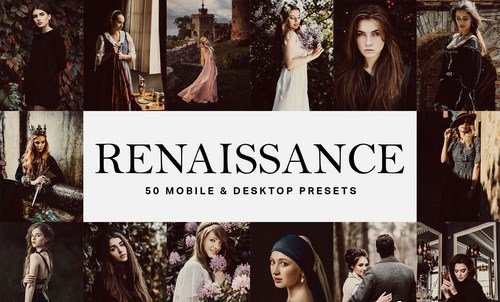 LR2841 50 Renaissance Presets Mobile ACR LUTs A