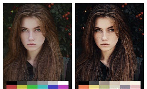 LR2841 50 Renaissance Presets Mobile ACR LUTs C