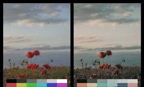 LR2845 50 Desolated Cinematic Presets Mobile ACR LUTs B
