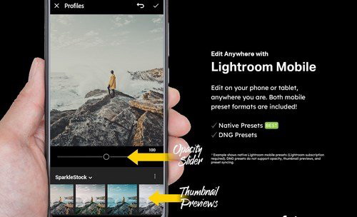 LR2845 50 Desolated Cinematic Presets Mobile ACR LUTs D