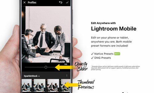 LR2847 50 Bold Corporate Presets Mobile ACR LUTs D