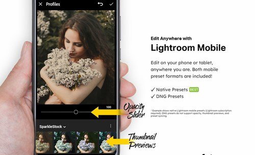 LR2848 50 Painting Tones Presets Mobile ACR LUTs D