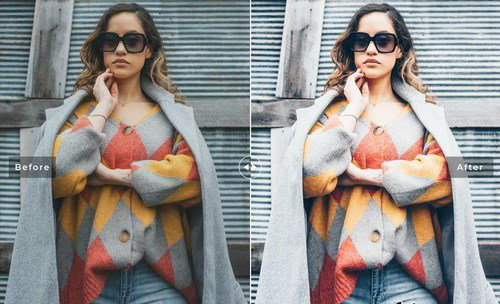 LR2849 Casual Chic Presets Mobile Desktop ACR ATN PSD C