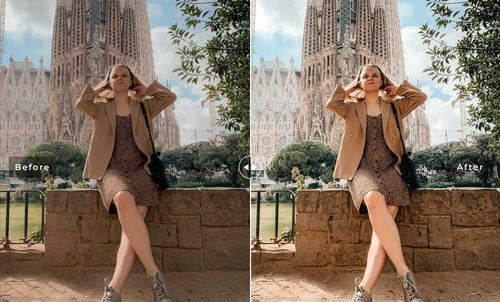 LR2849 Casual Chic Presets Mobile Desktop ACR ATN PSD D