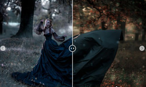 LR2855 CreativeMarket - Let it Snow Presets Desktop ACR 3416139 D