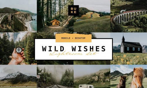 LR2874 CreativeMarket - BUKE Wild Wishes Mobile Desktop ACR 4876700 A