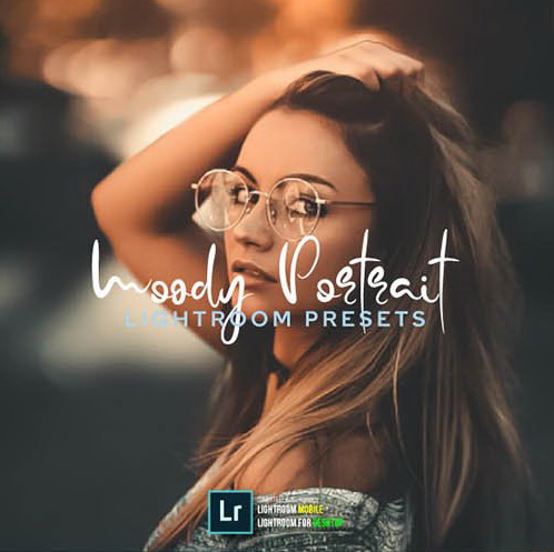 LR2879 GraphicRiver - 25 Moody Portrait Presets Mobile Desktop 26453904 A