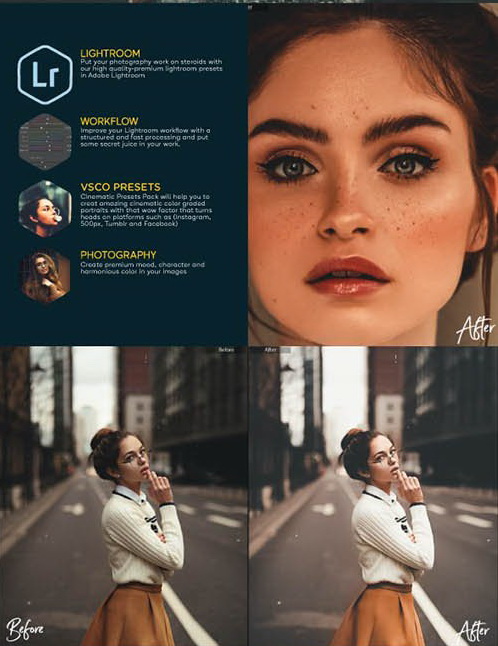 LR2879 GraphicRiver - 25 Moody Portrait Presets Mobile Desktop 26453904 B