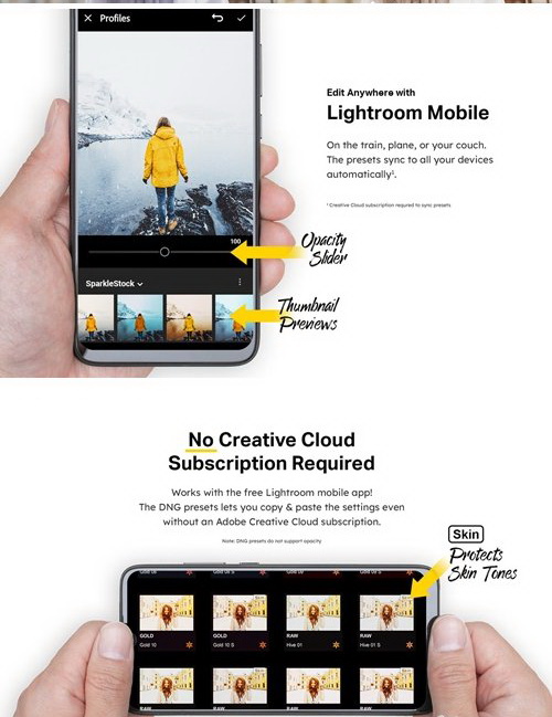 LR2896 CM - 50 Honey Yellow Lightroom Presets 4546189