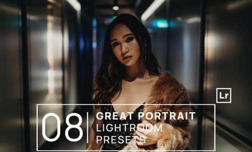 LR2904 8 Great Portrait Presets