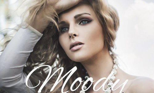 LR2916 Moody Presets Mobile Desktop ACR ATN PSD A