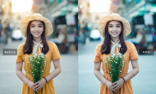 LR2916 Moody Presets Mobile Desktop ACR ATN PSD B