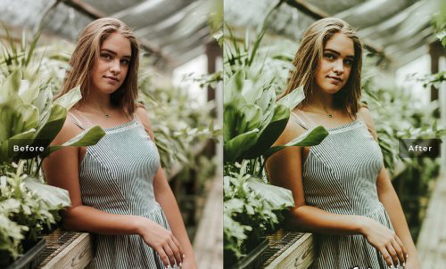 LR2916 Moody Presets Mobile Desktop ACR ATN PSD C