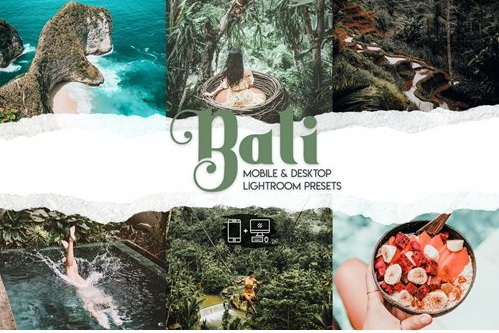 LR2928 Bali Presets Mobie esktop ACR A