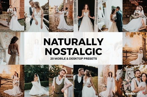 LR2939 20 Naturally Nostalgic Presets Mobile ACR LUTs A