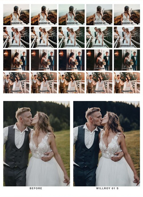 LR2939 20 Naturally Nostalgic Presets Mobile ACR LUTs B