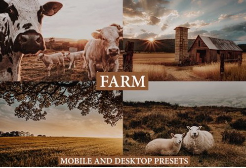 LR2952 Cinematic Farm Presets Mobile Desktop 4127575 A