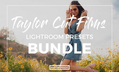 LR2977 FlterGrade Taylor Cut Films Presets Bundle A