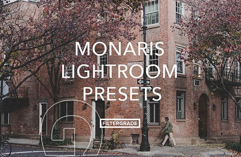 LR2978 FiterGrade Monaris Presets a