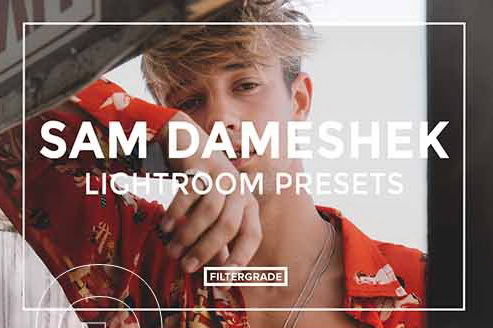 LR2979 FilterGrade Sam Dameshek Presets a