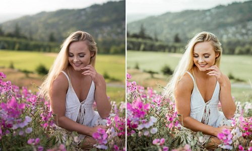 LR2980 FilterGrade Allegra Messina Presets b
