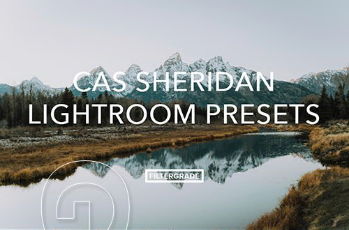 LR3005 FilterGrade Cas Sheridan Presets a
