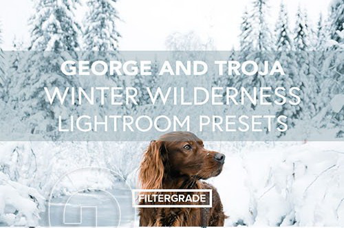 LR3030 FilterGrade George and Troja Winter Wilderness Presets a