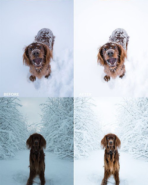 LR3030 FilterGrade George and Troja Winter Wilderness Presets b