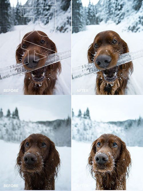LR3030 FilterGrade George and Troja Winter Wilderness Presets c