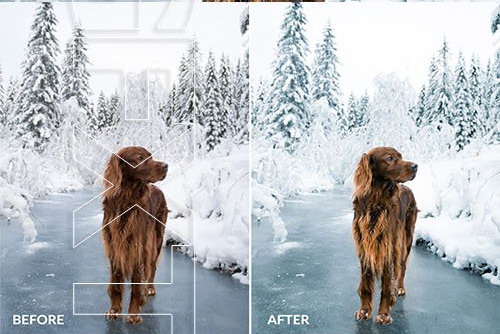 LR3030 FilterGrade George and Troja Winter Wilderness Presets