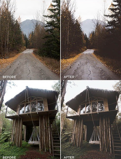LR3031 FilterGrade Nick La Cava Presets c