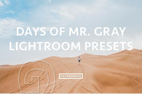 LR3037 FilterGrade Days of Mr. Gray Presets A