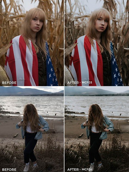 LR3039 FilterGrade Max Creative Films Presets C