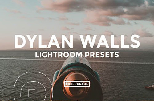 LR3052 FiterGrade Dylan Walls Presets A