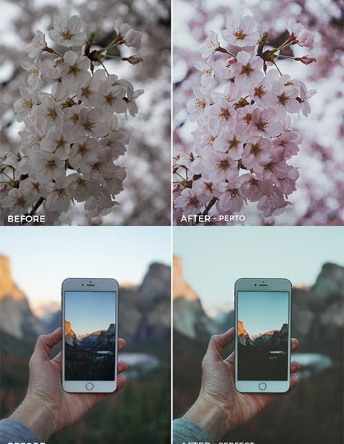 LR3052 FiterGrade Dylan Walls Presets B