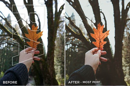 LR3052 FiterGrade Dylan Walls Presets C